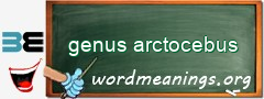 WordMeaning blackboard for genus arctocebus